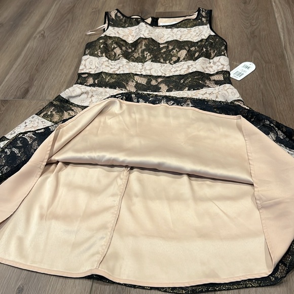 NWT Jessica Simpson Sleeveless Lace Cocktail Dress Fit & Flare 10 - Picture 14 of 17